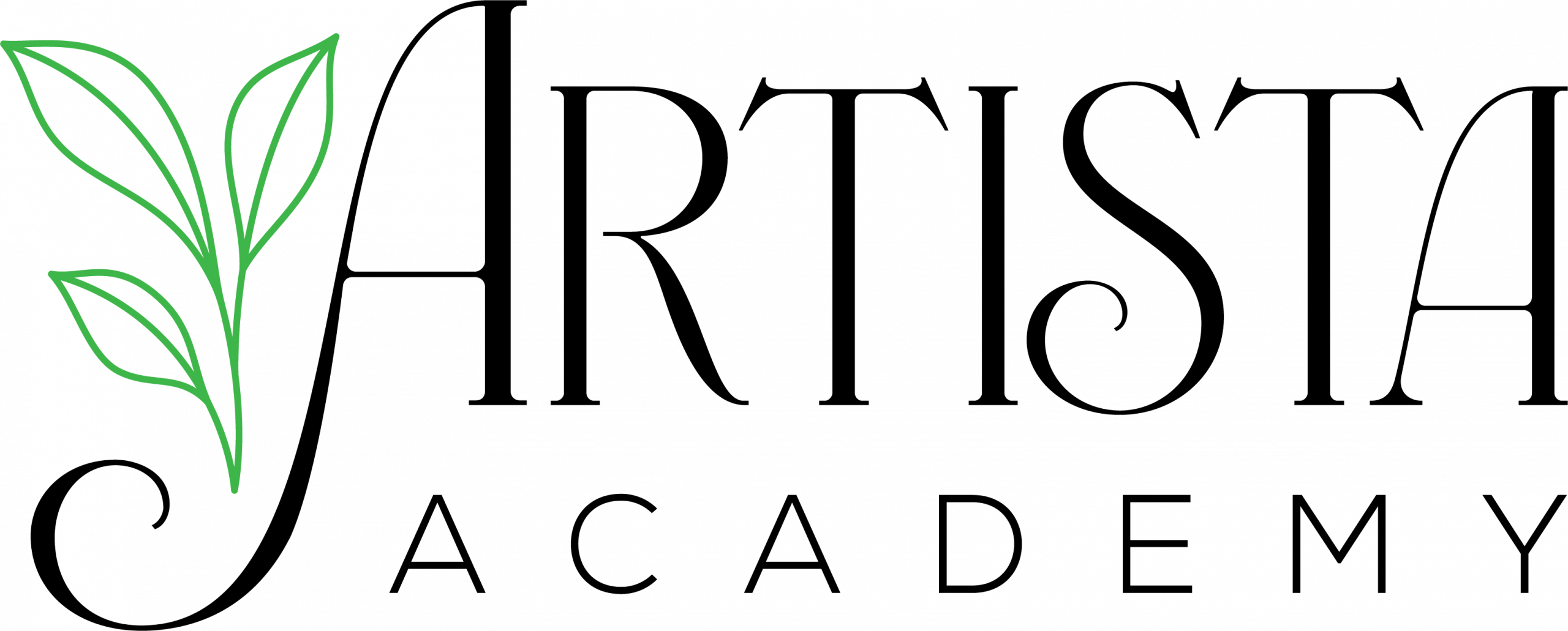 Artista Academy Logo